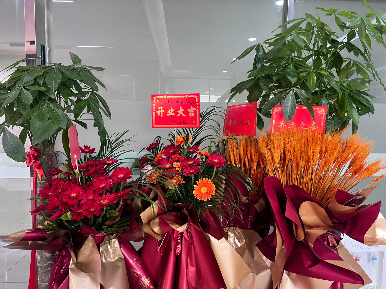 微信图片_20241112122351.jpg